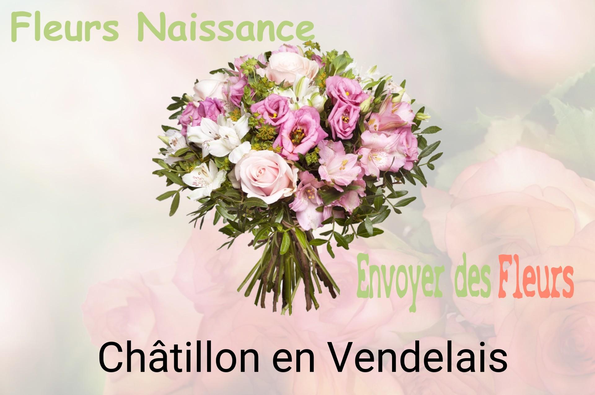 Bouquet de fleurs de naissance livré à Châtillon-en-Vendelais