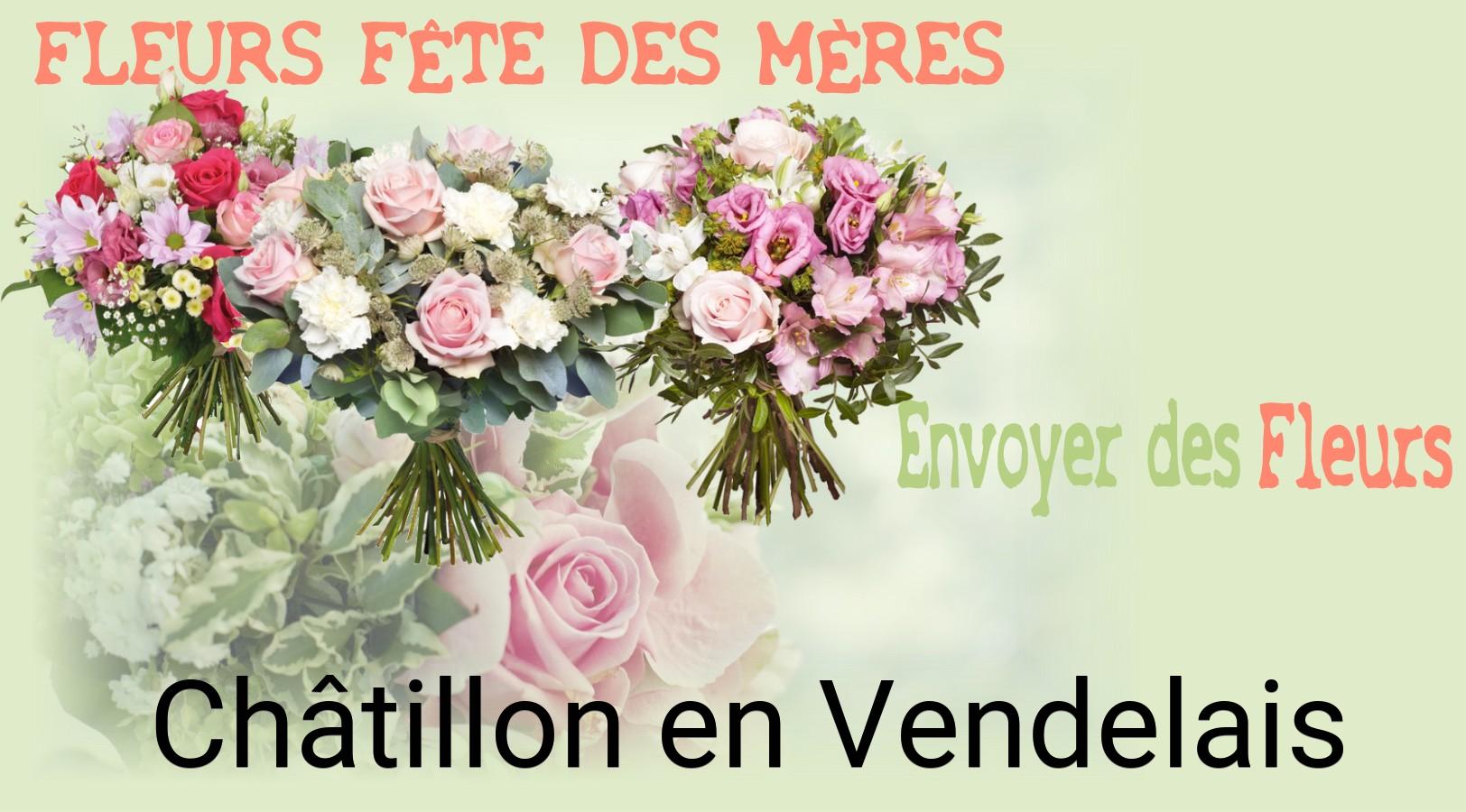 Bouquet de Fête des Mères livré à Châtillon-en-Vendelais